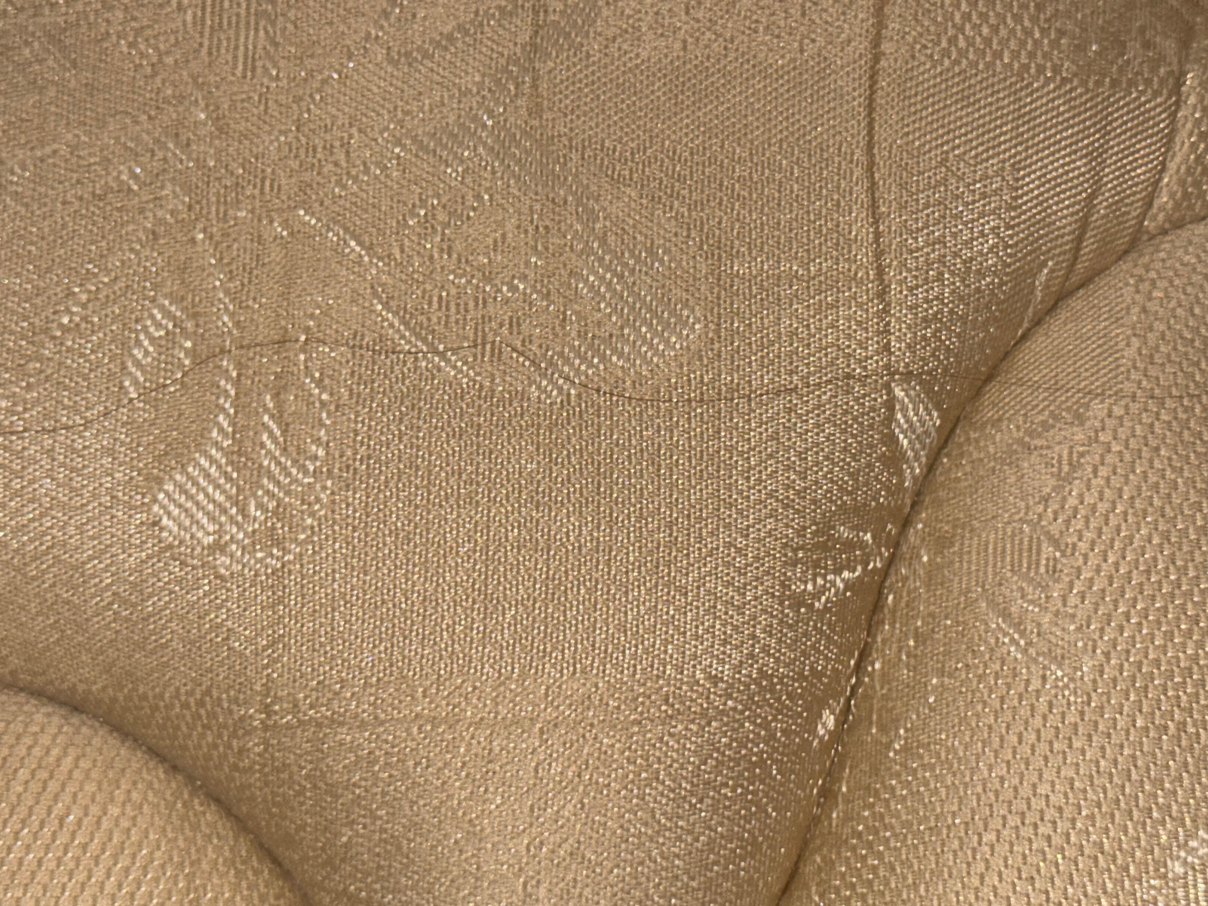 Hairs on mattress, lots of them.