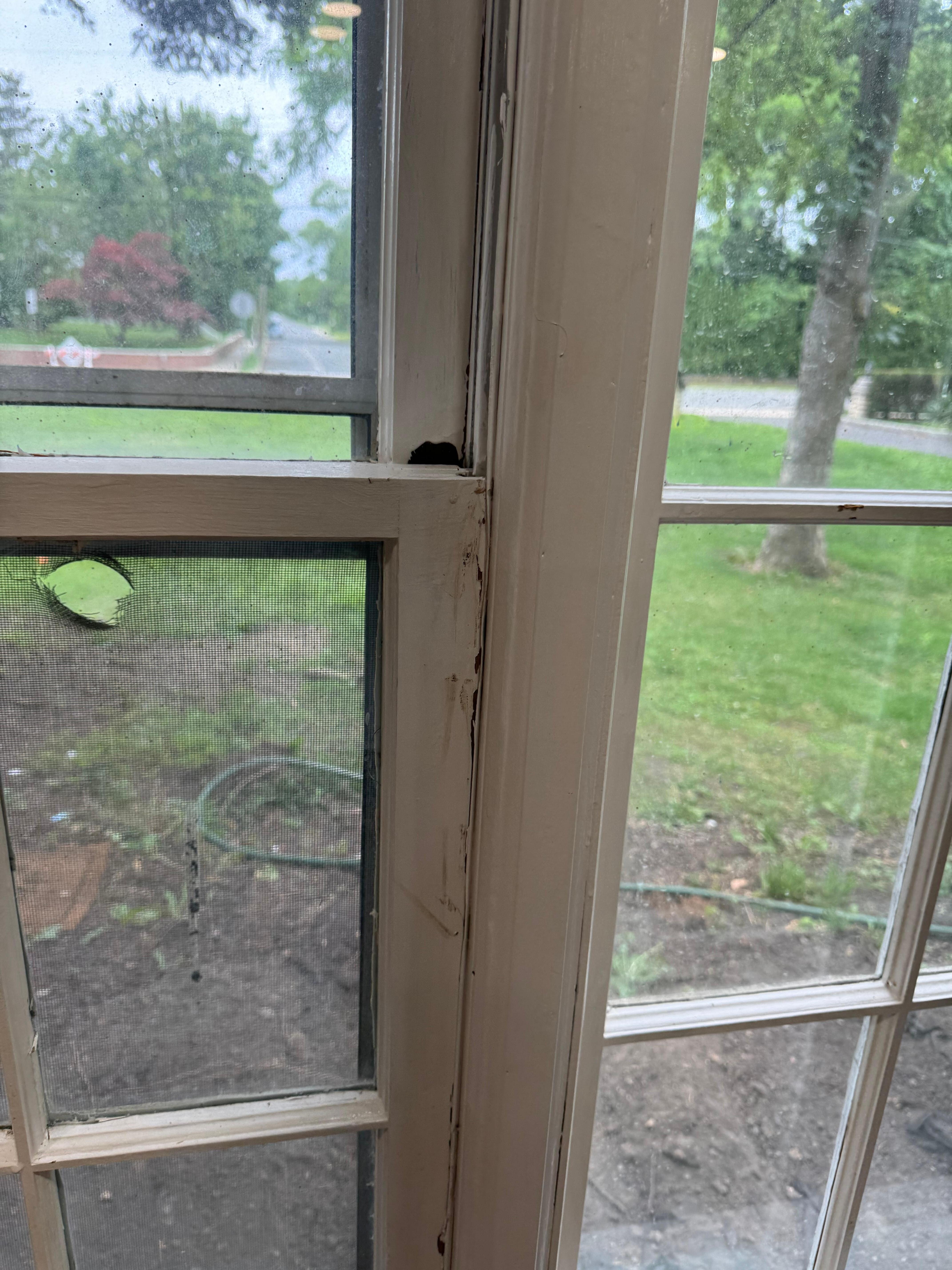 Windows that were painted and couldnât be properly open or shut. And notice the giant hole in the screen.