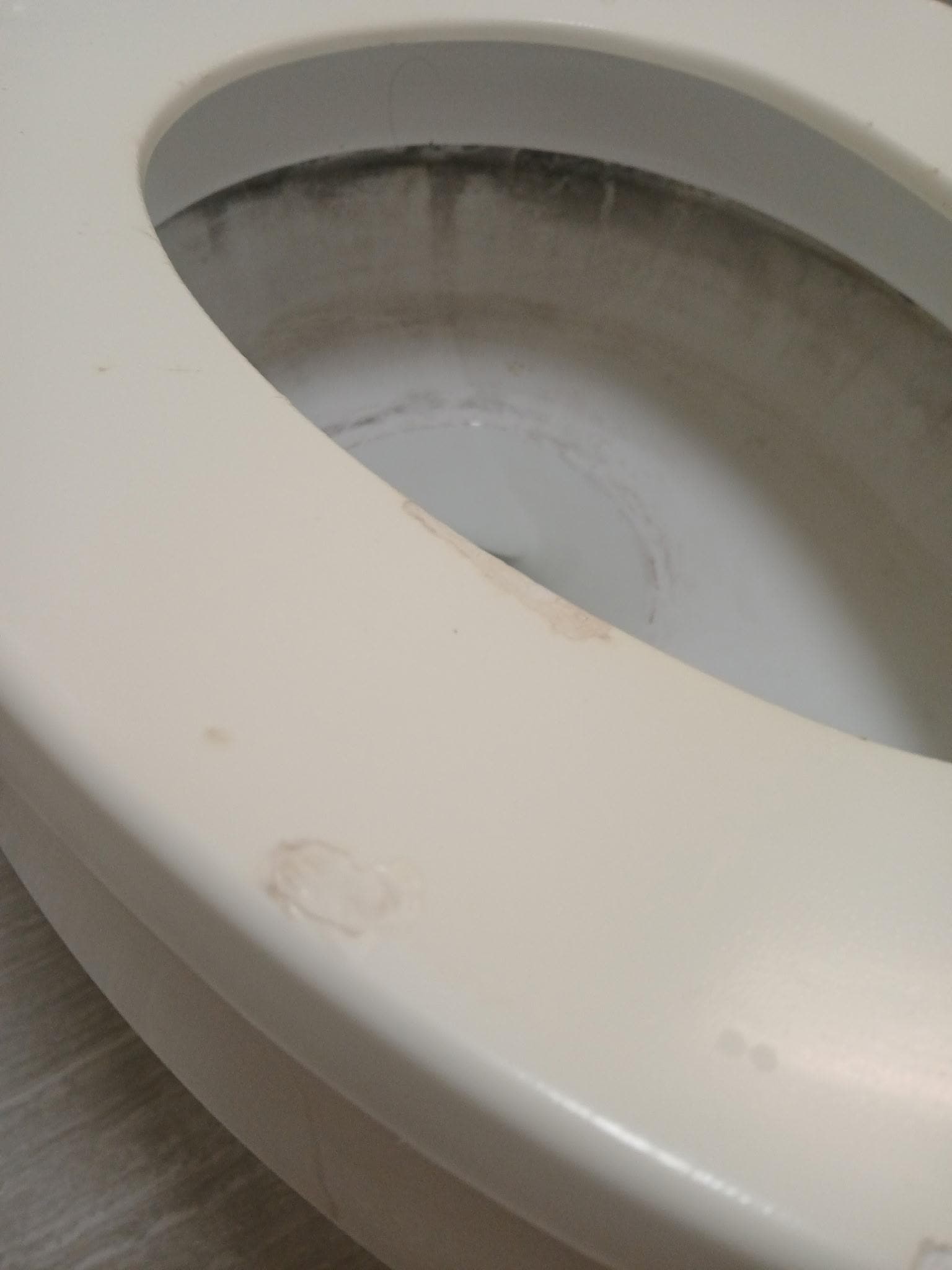 Mold and burnt cigarette spots on seat