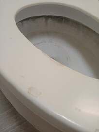 Mold and burnt cigarette spots on seat