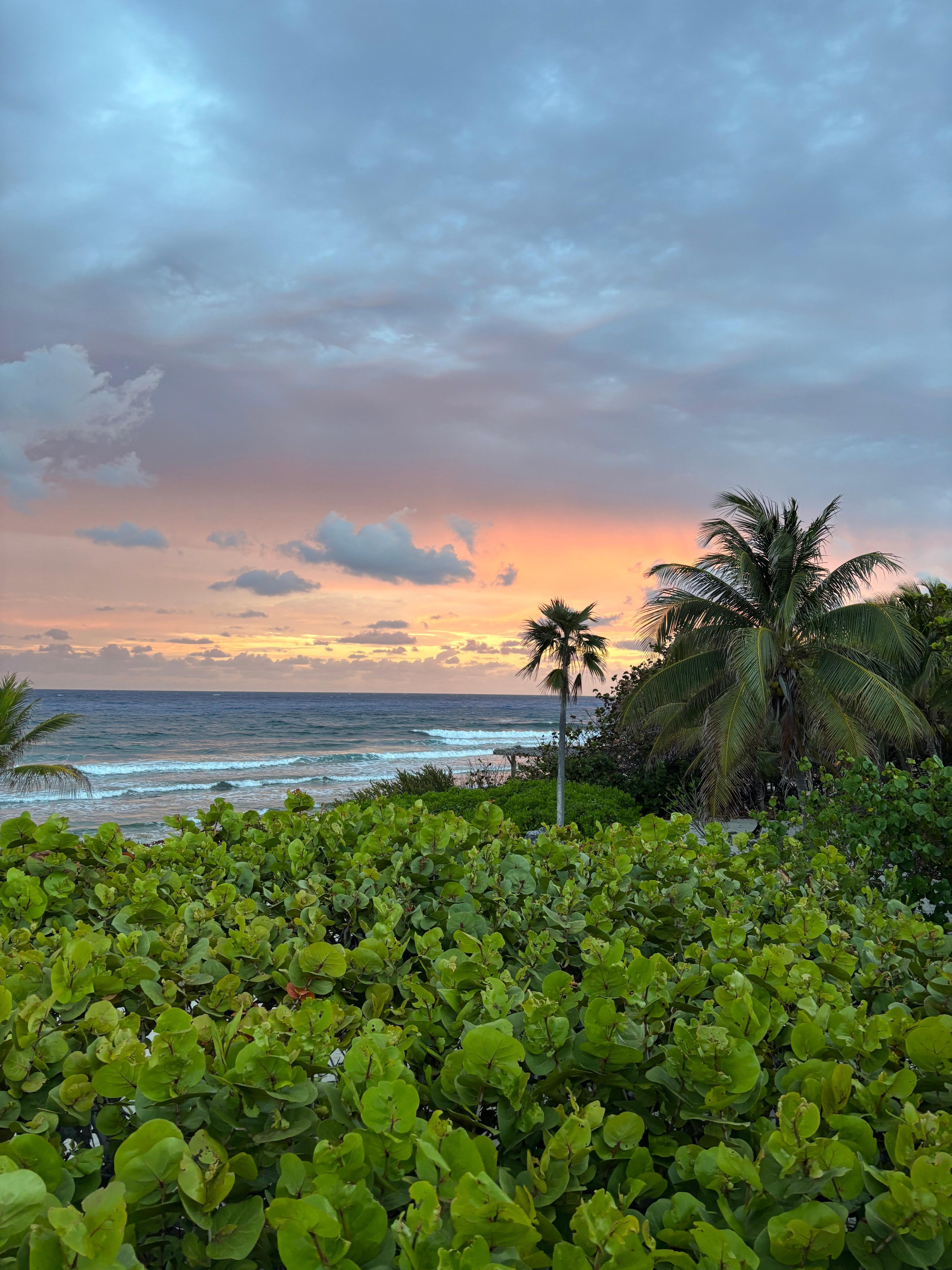 A sunrise from the deck. 