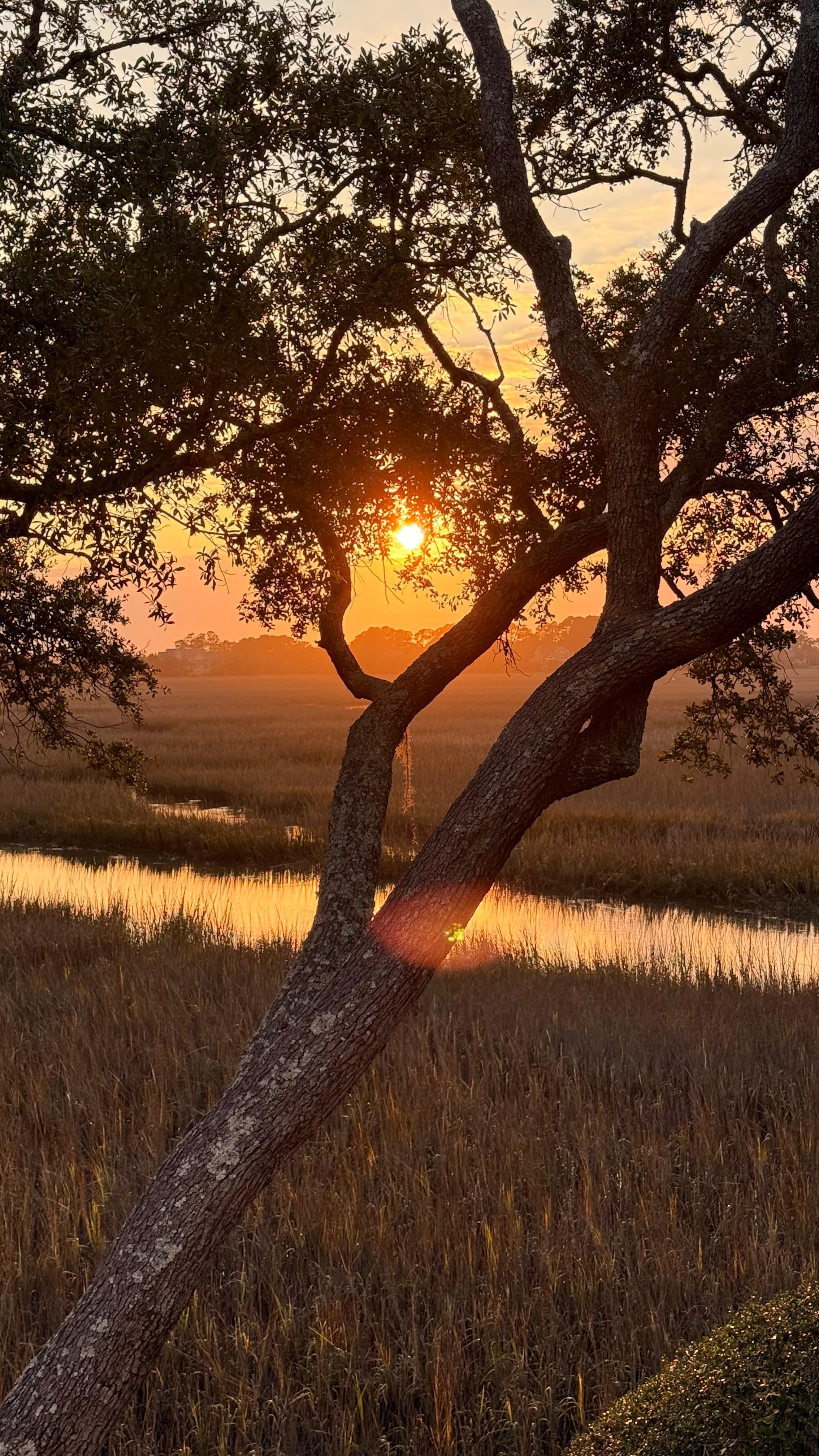 Sunset from my favorite room