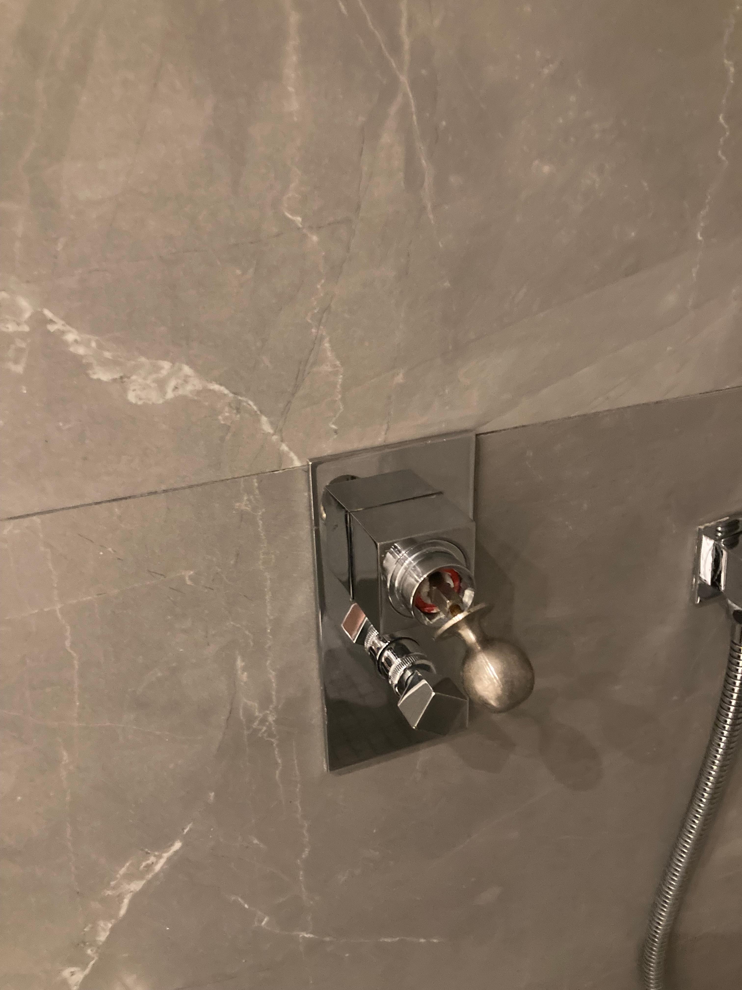 Broken shower control