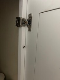 Roaches are everywhere