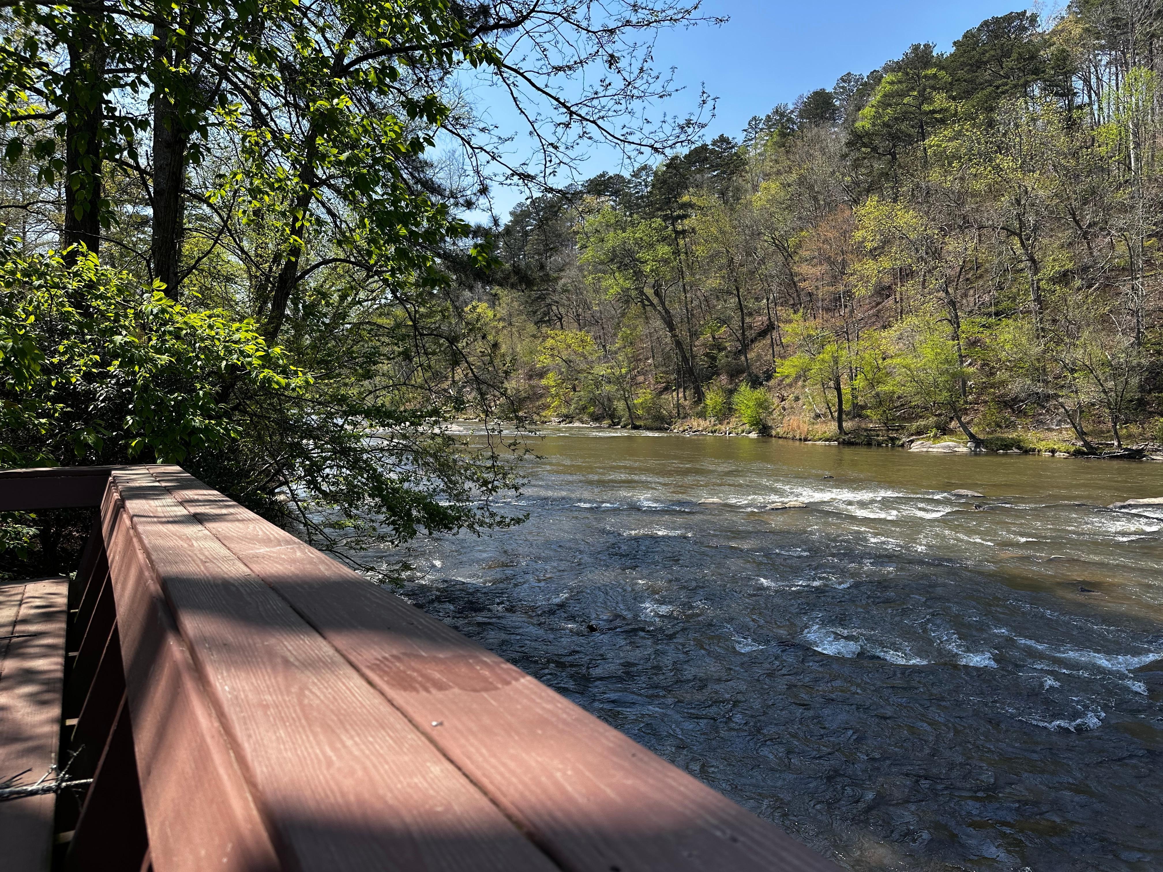 The rapids sound so relaxing!
