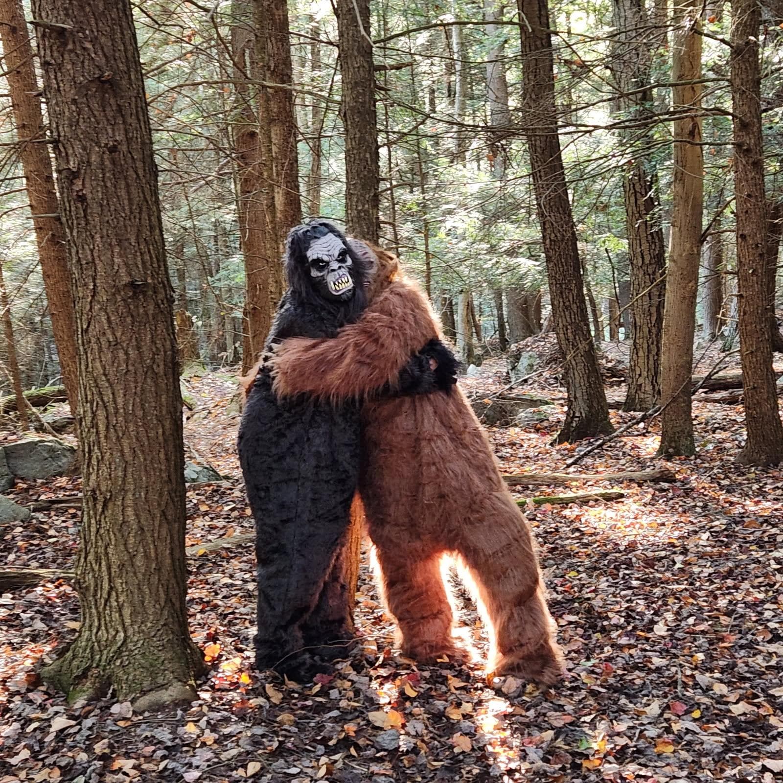 Bigfoots enjoying nature 