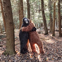 Bigfoots enjoying nature