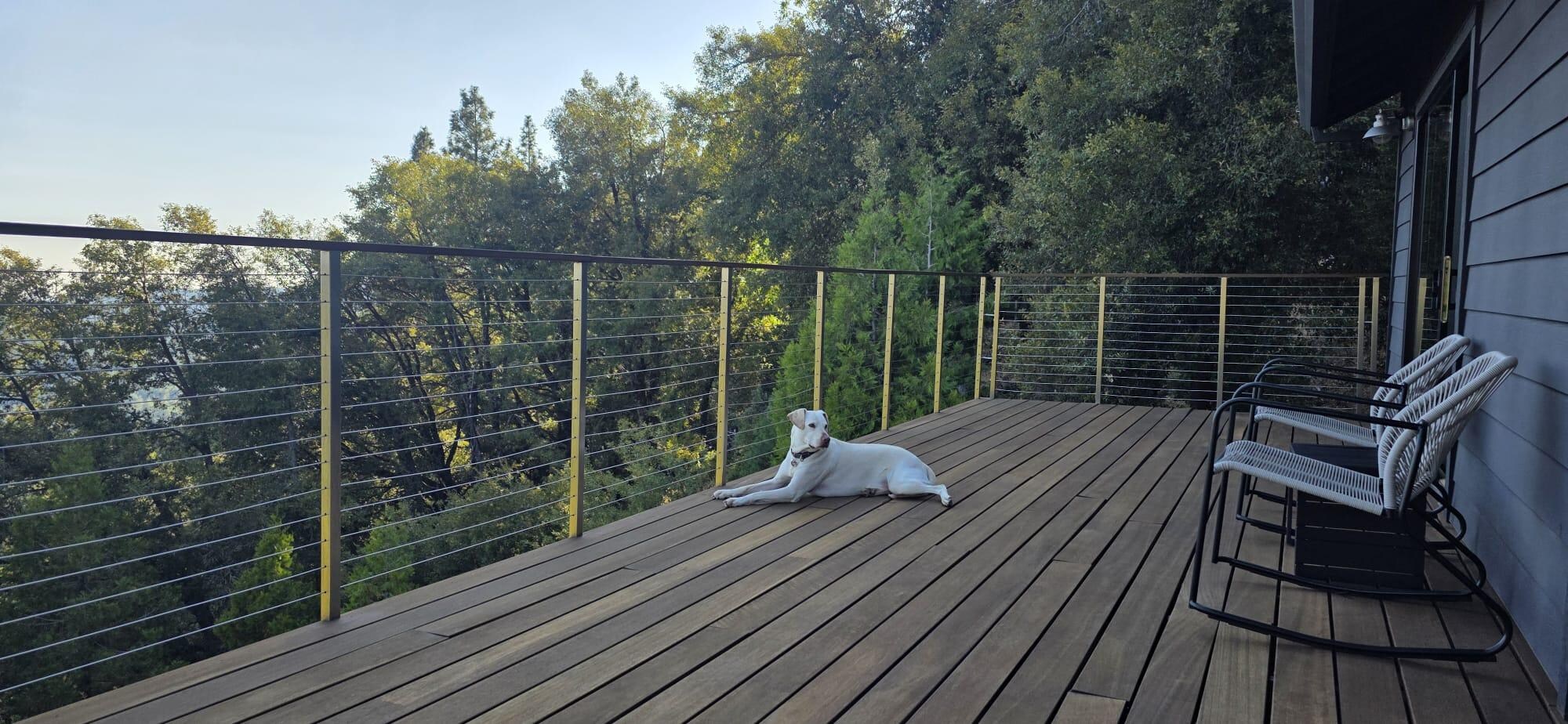 Our dog was in heaven! 