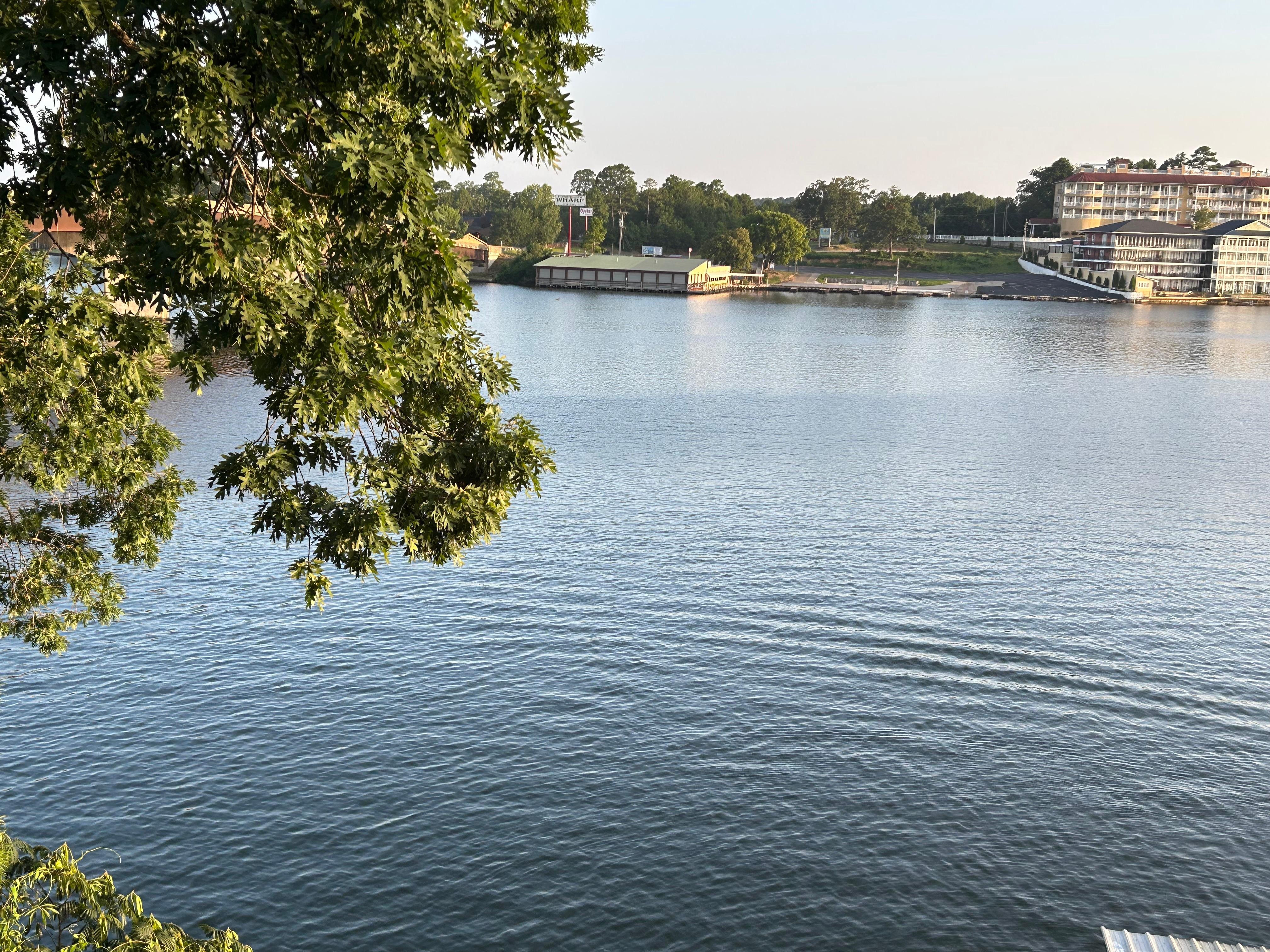 View from dining room windows