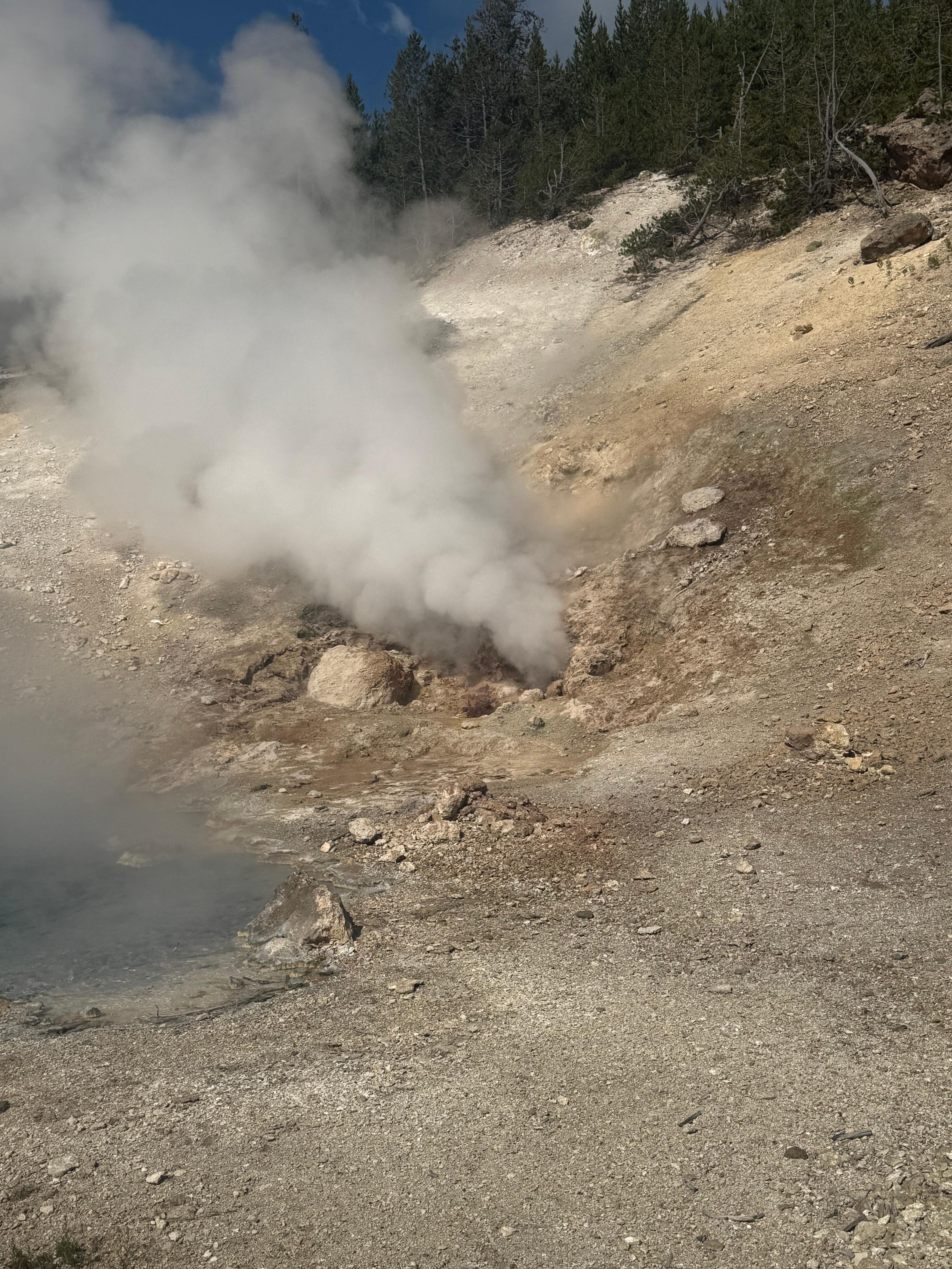 Geyser at yellowstone