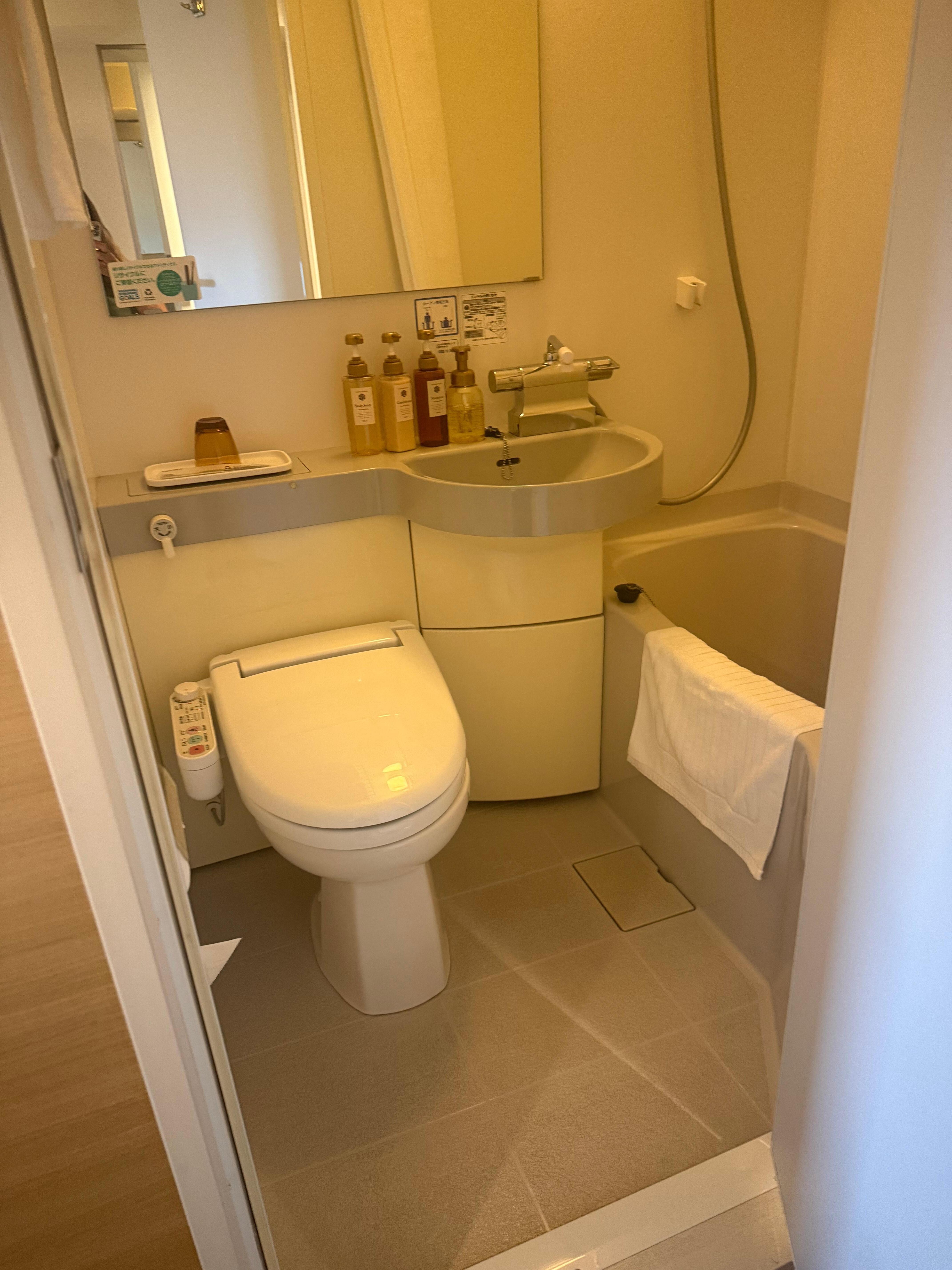 bathroom was sufficient.  I liked the bidet.  Hotel provided many toiletries except for body lotion.
