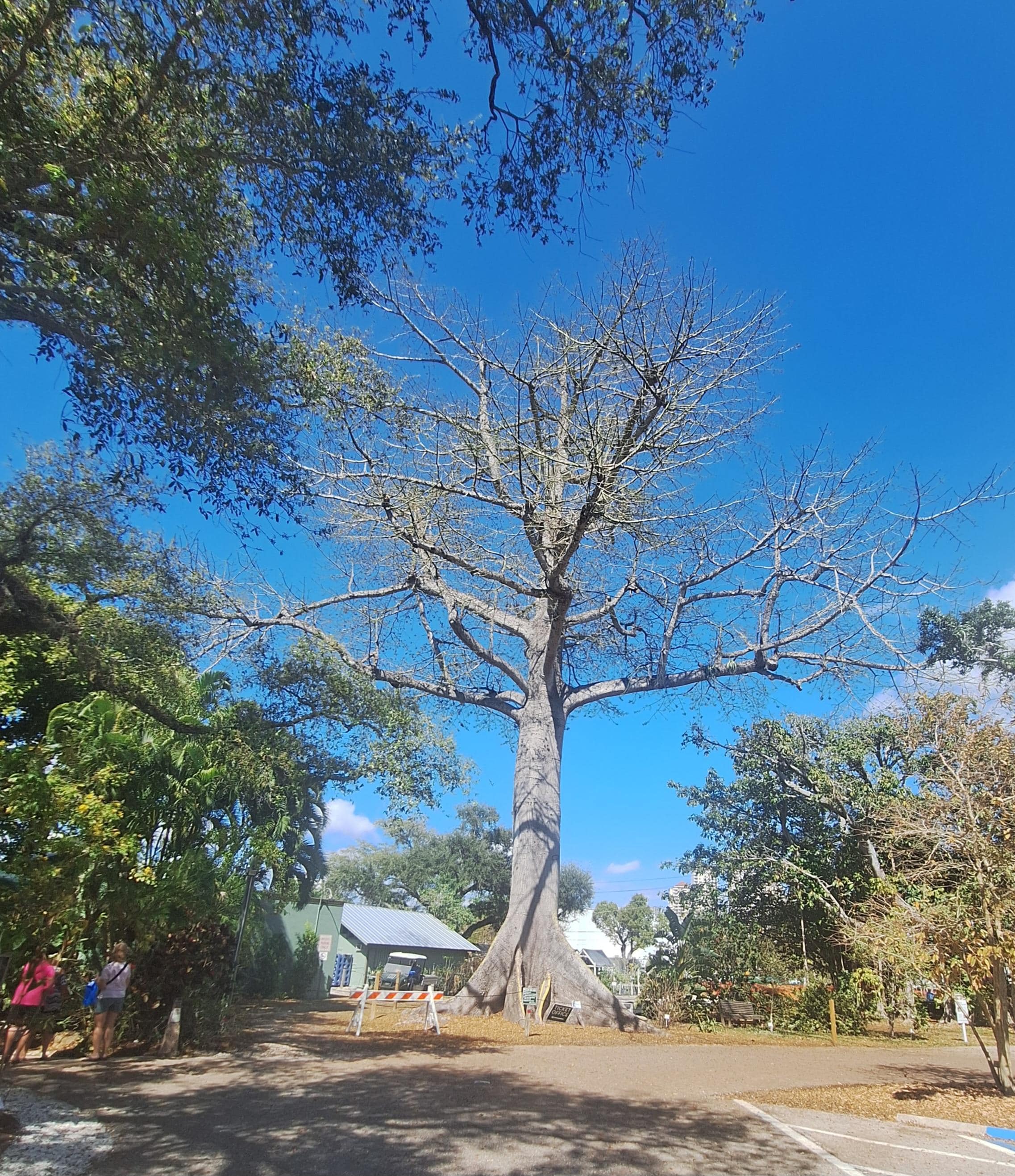 Edison-Ford Winter Estate