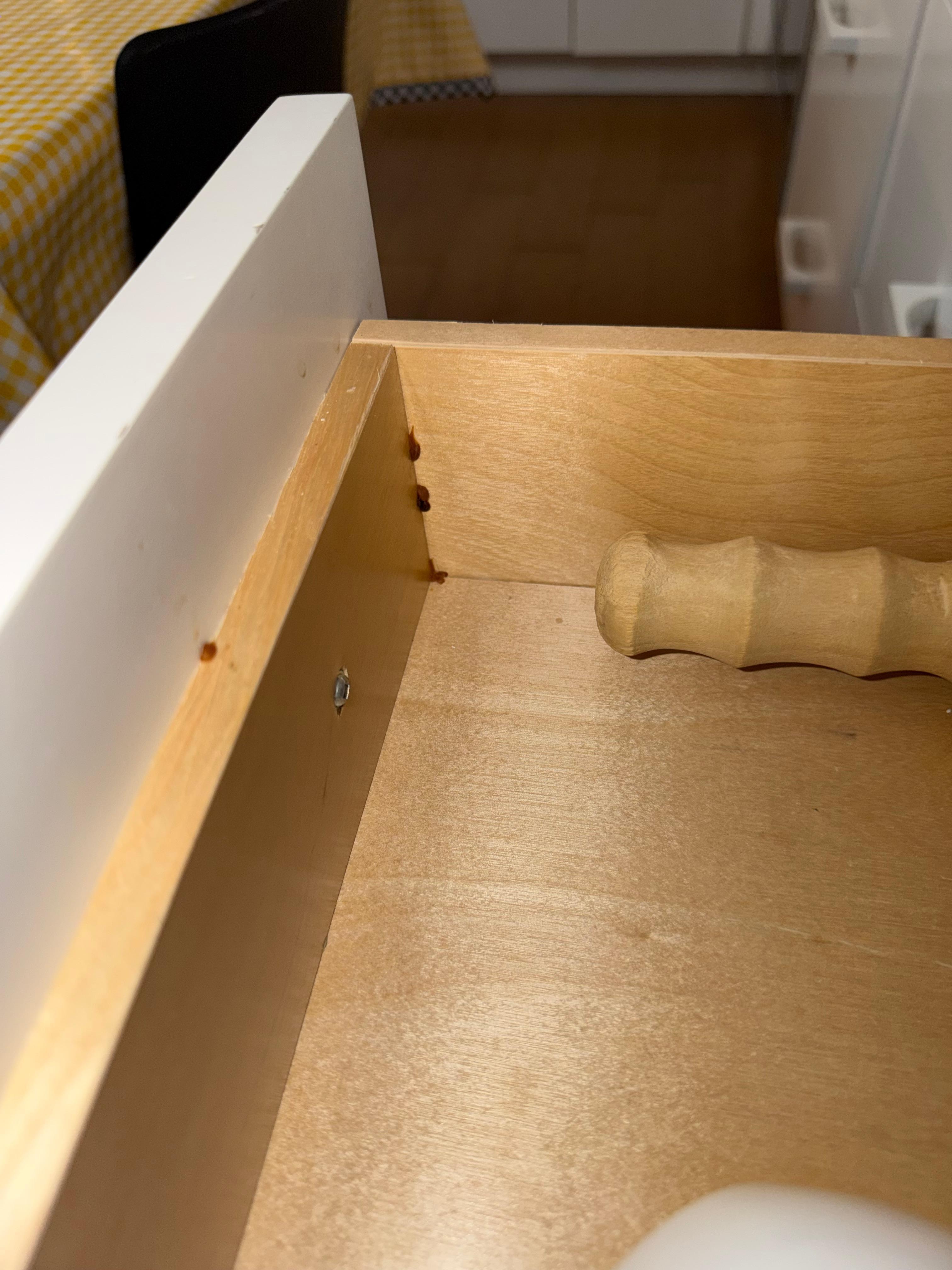 Roach bait inside drawer. 