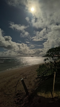 Moonlit beach