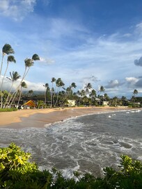 Beach across the street.