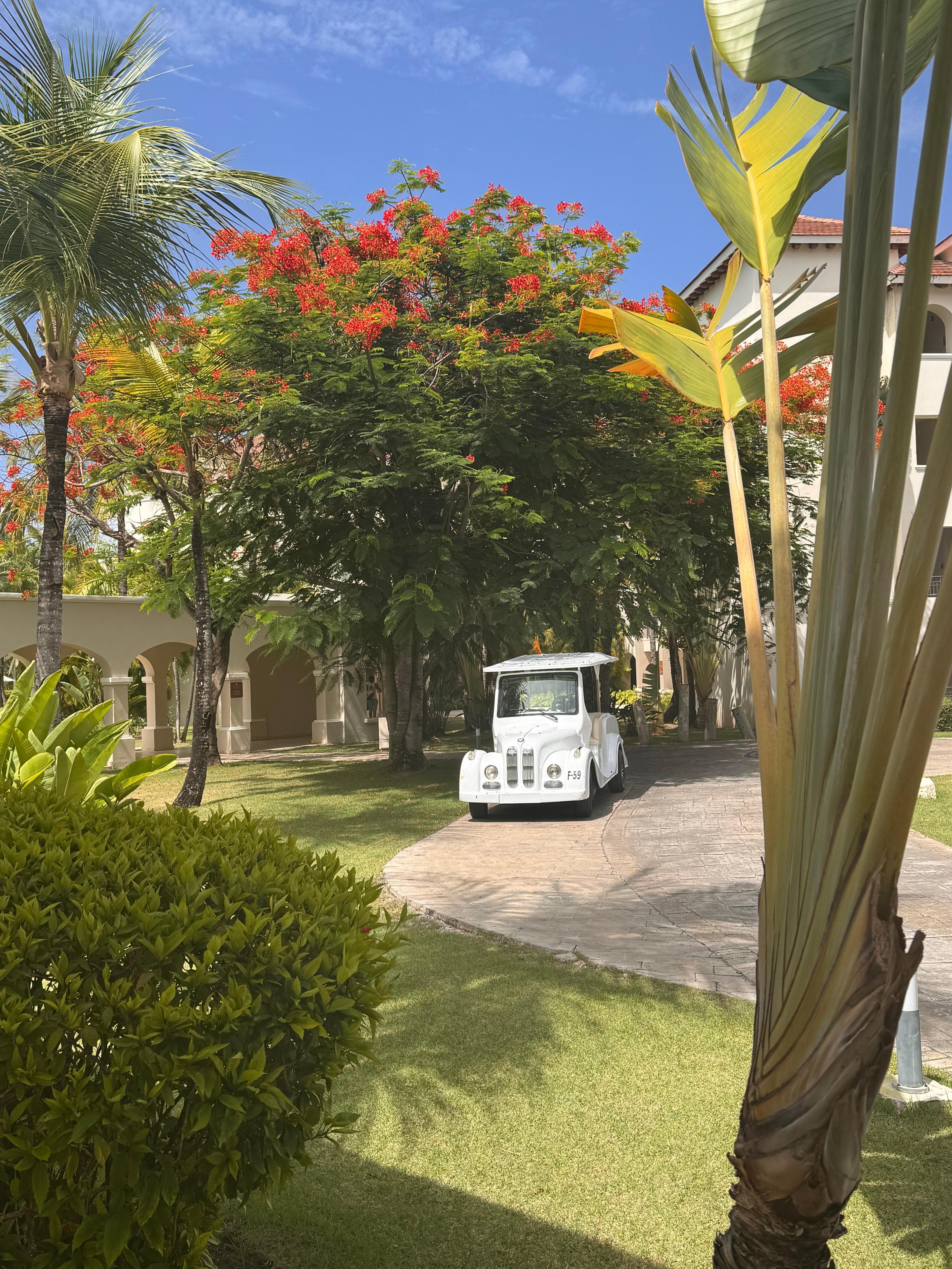 beautiful scenery all around the resort.