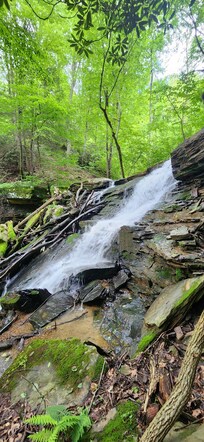 Tom's Run Park