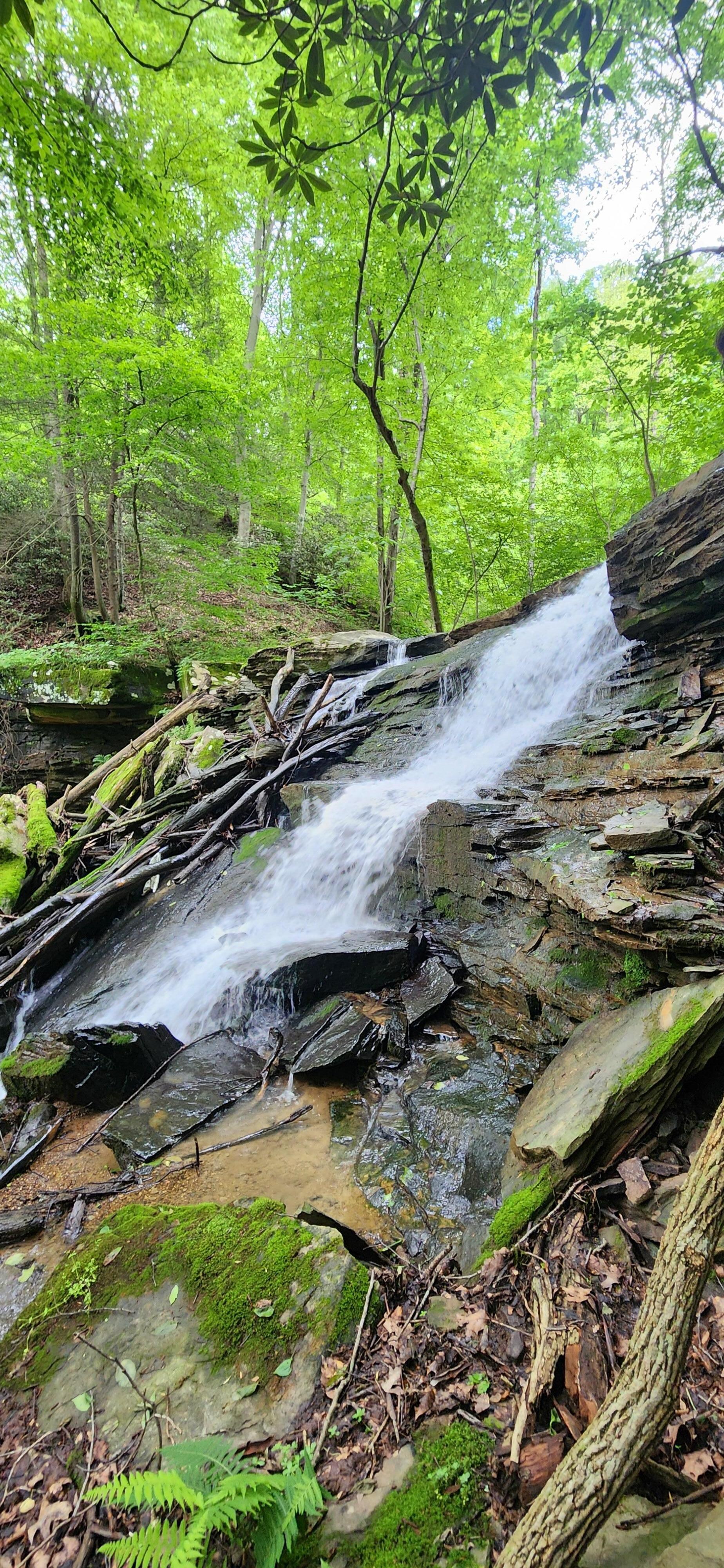 Tom's Run Park