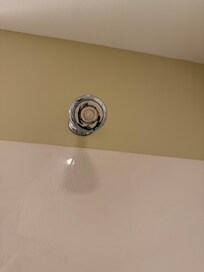 Hard to feel clean when the shower head looked like this. Master bathroom