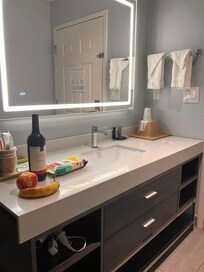 Modern Sink and Shower (not pictured) area