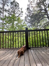 She loved the fully enclosed balcony.