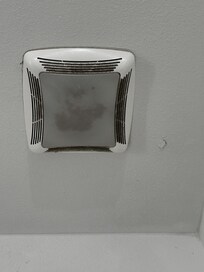Bathroom vent full of dust and mold