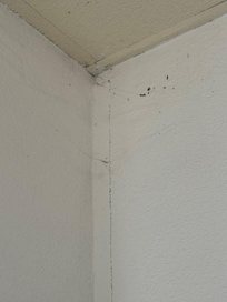 Other corner of living area
