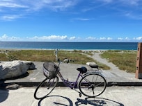 自転車を借りて