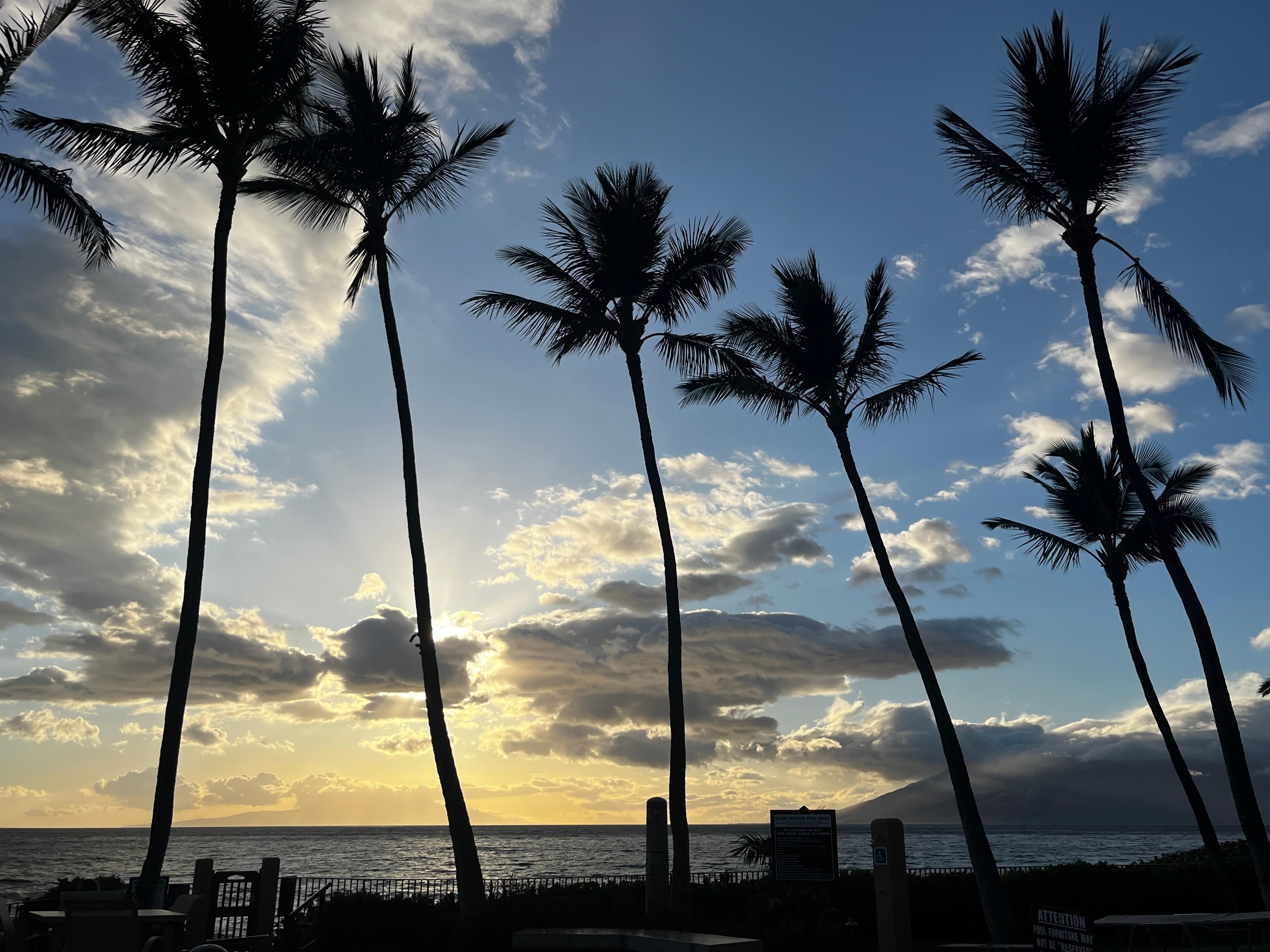 Sunset from pool 