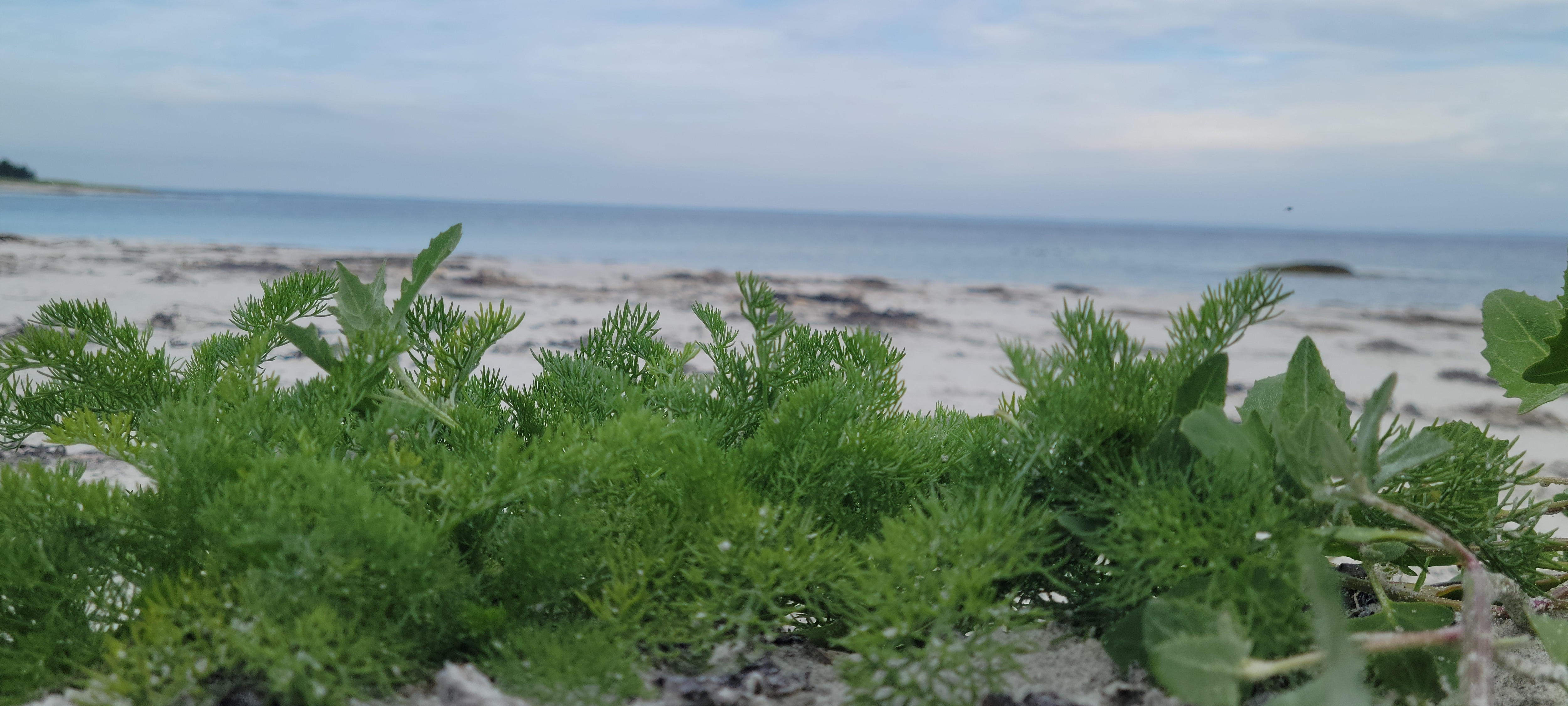 A view of the oceanfront