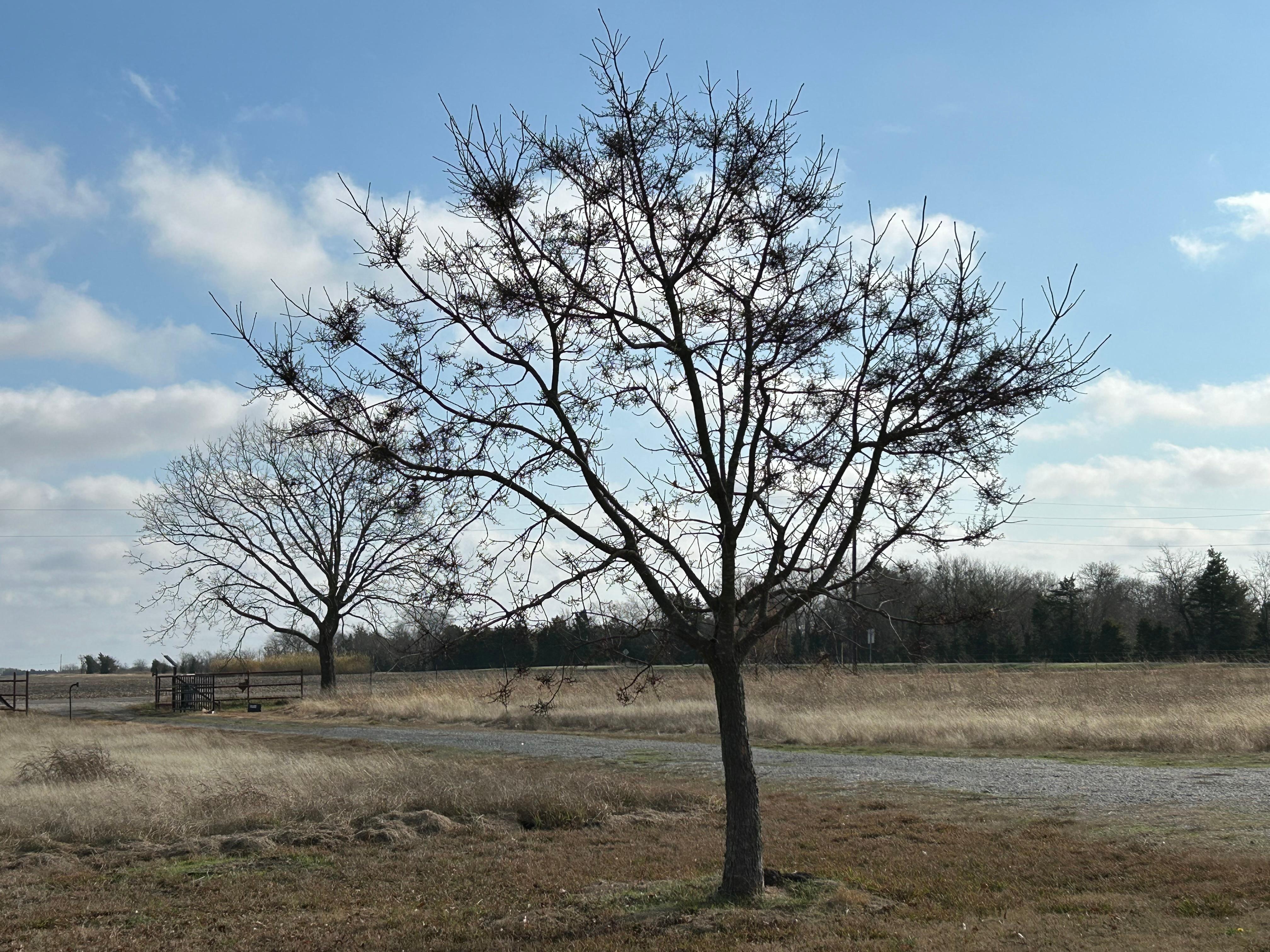 Front patio view with morning coffee