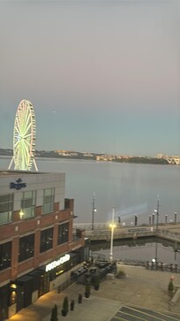 the view from the room