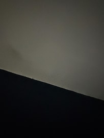 Mold