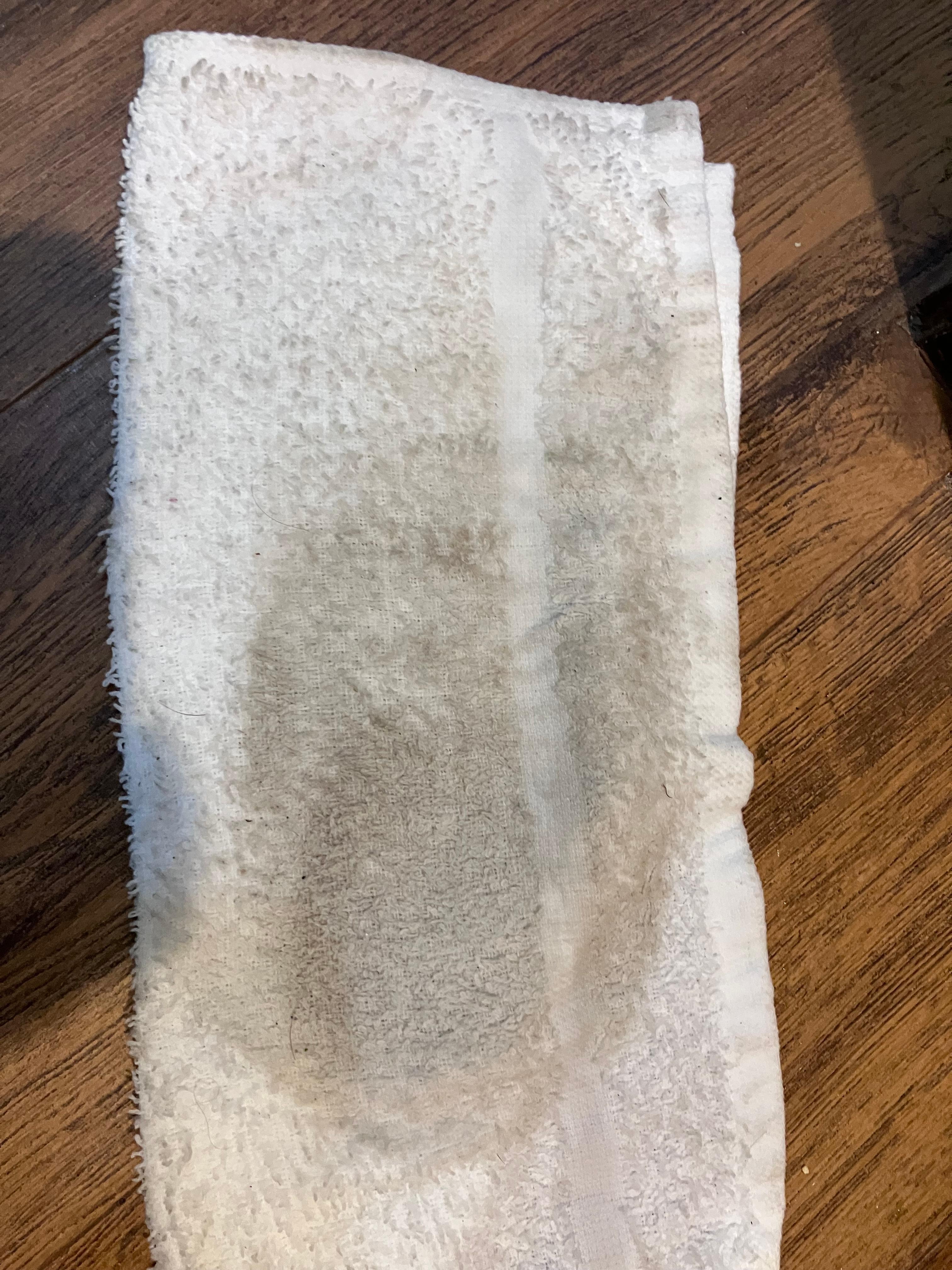 This is the results from the dirty bathroom floor
(1st room)