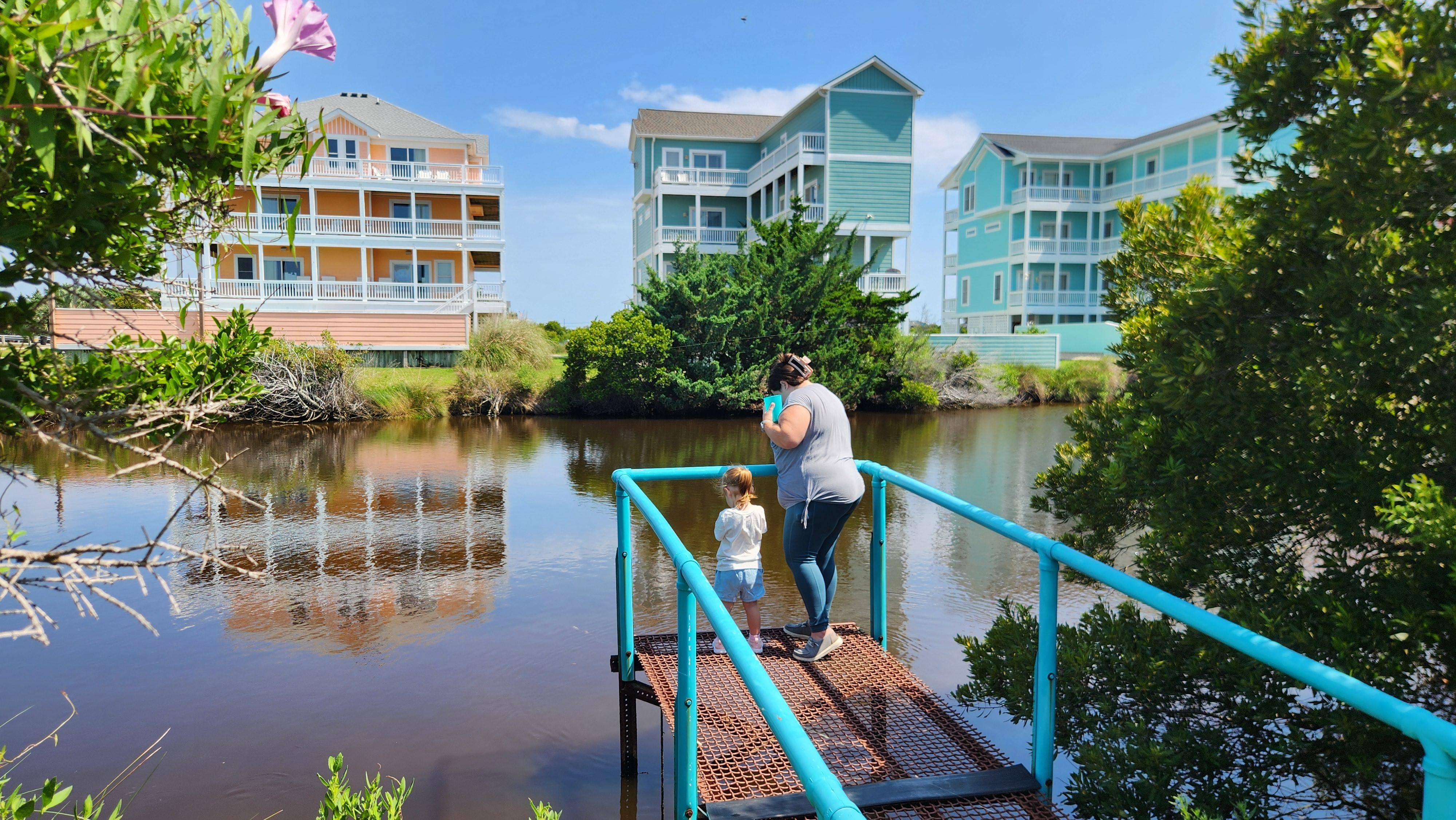 Feeding the turtles.
