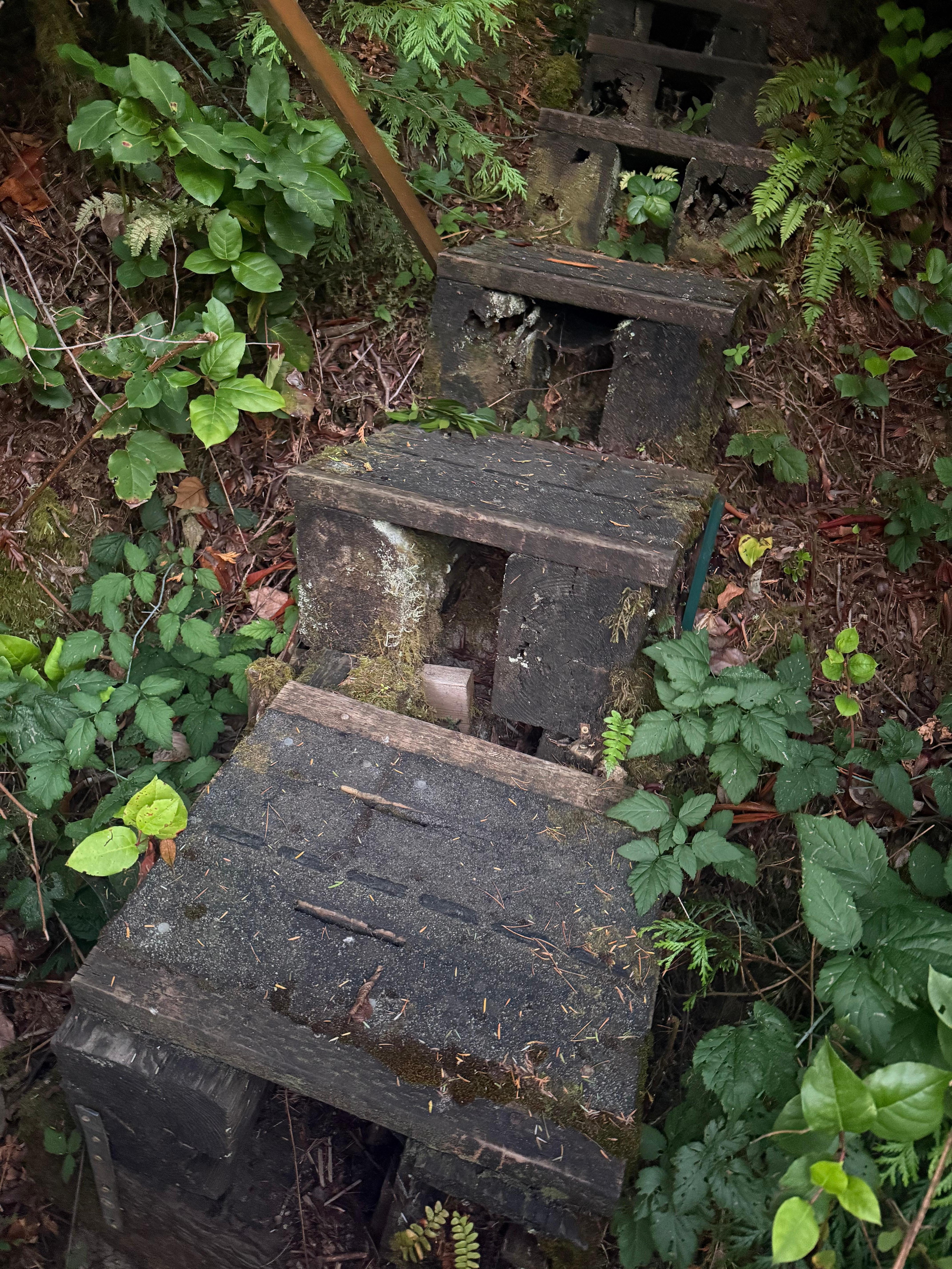 Uneven and slanted steps, no hand rails 