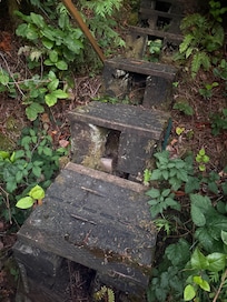 Uneven and slanted steps, no hand rails