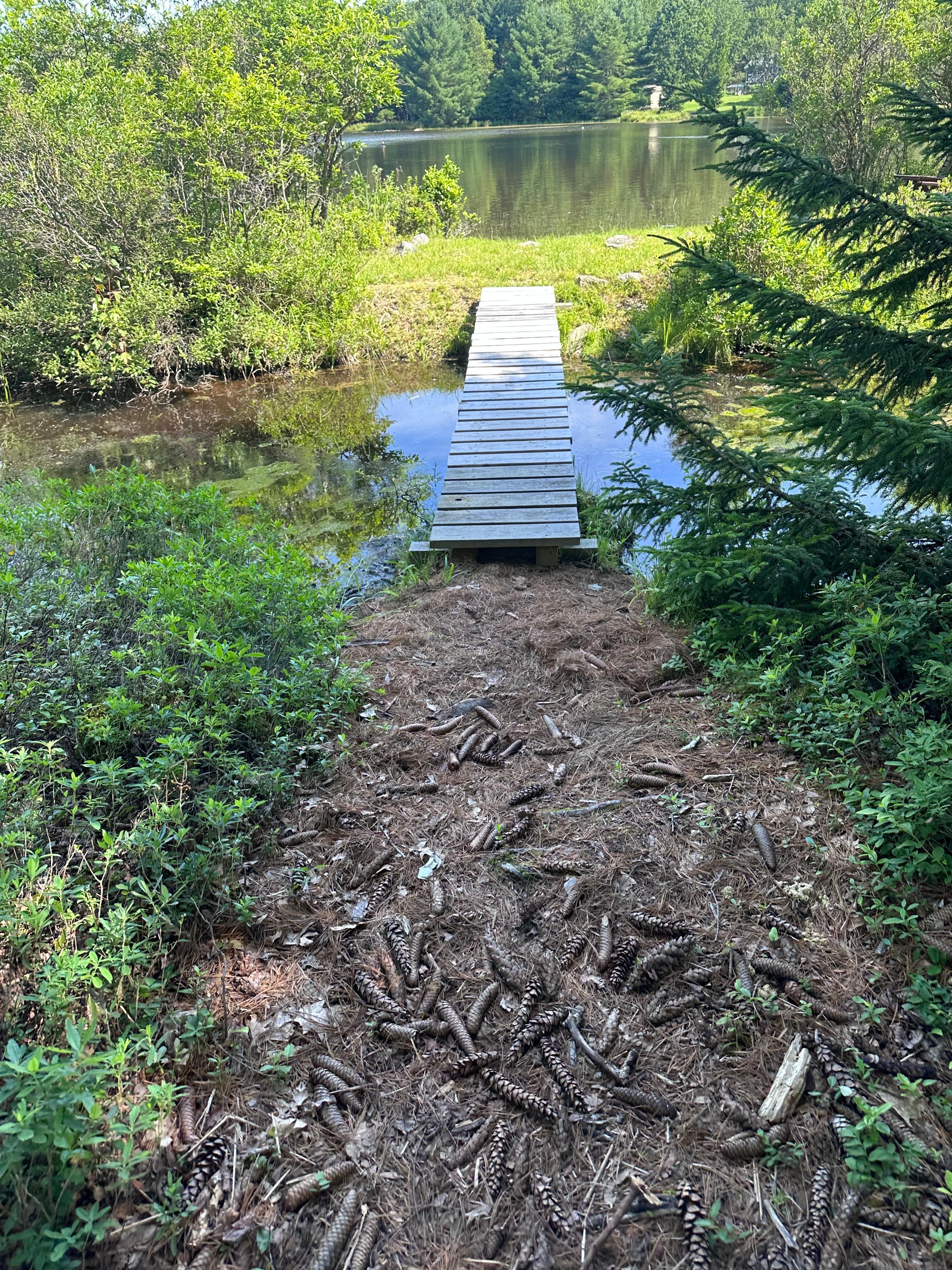 Footbridge to the lake