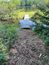Footbridge to the lake