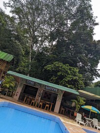 Still adult pool