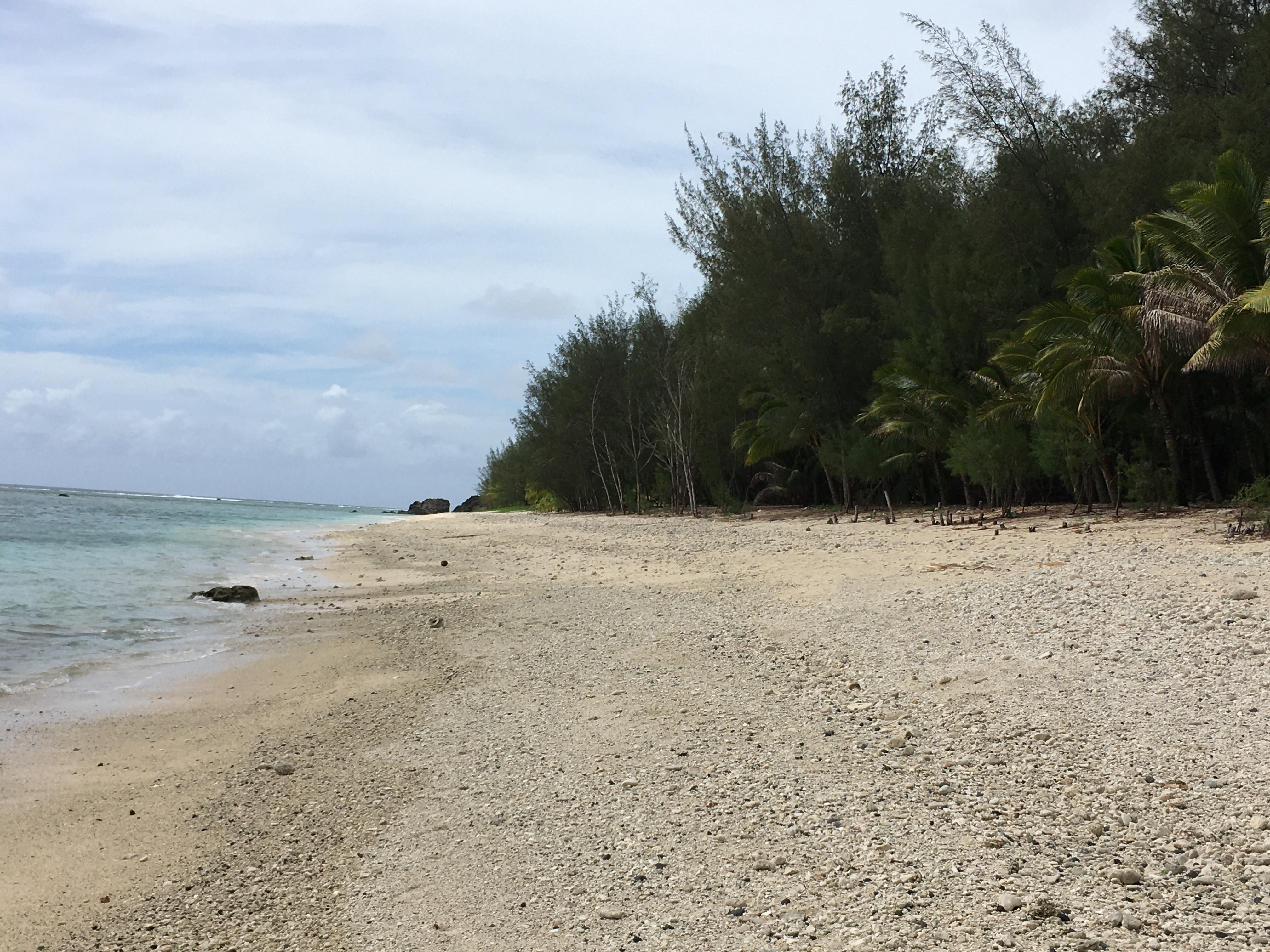 View up the beach to Black Rock