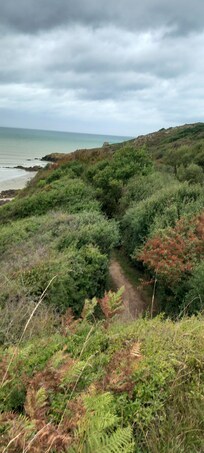Plage de Beliard
Autorisées aux chiens