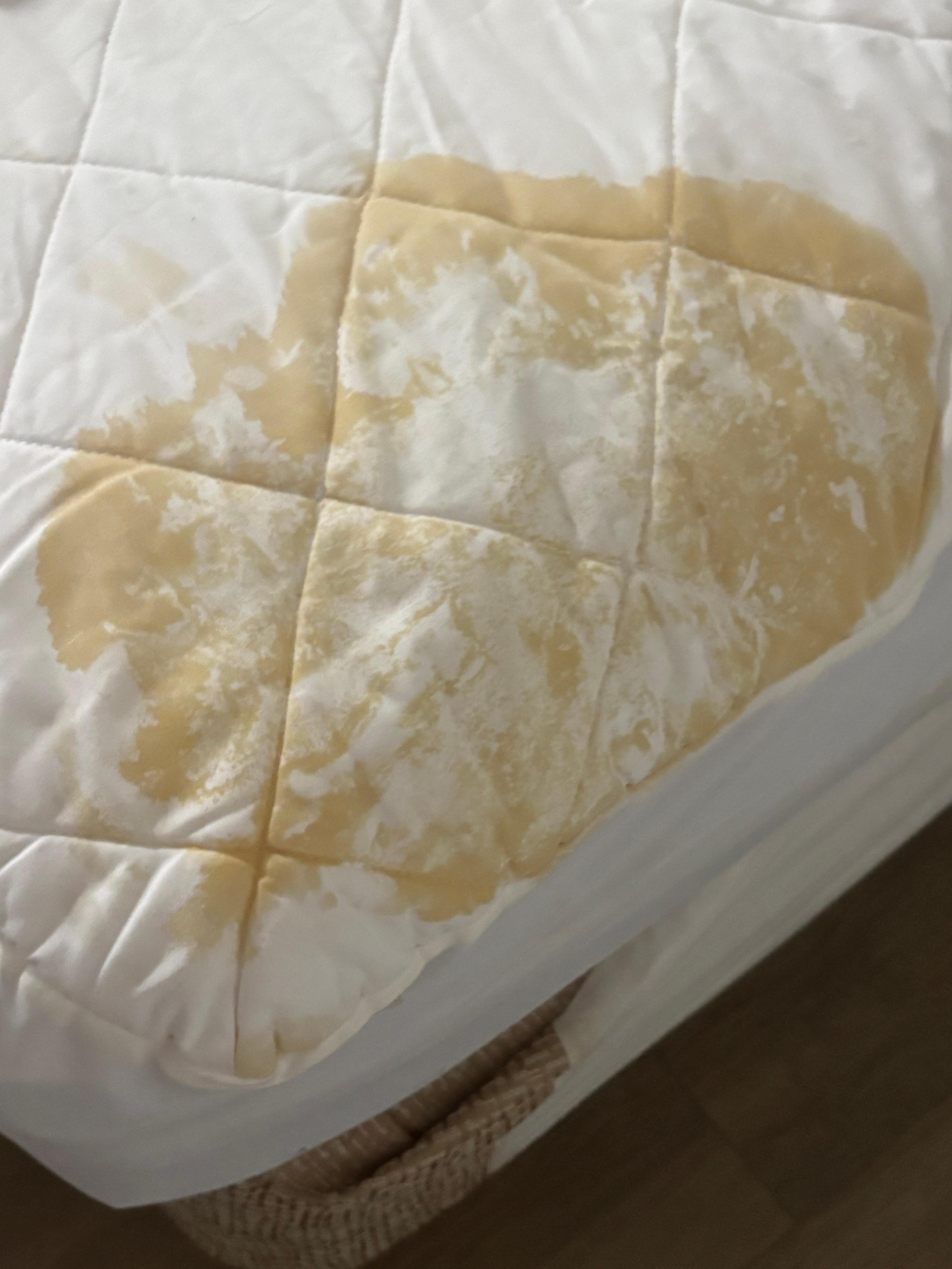 The biggest stain on the mattress pad