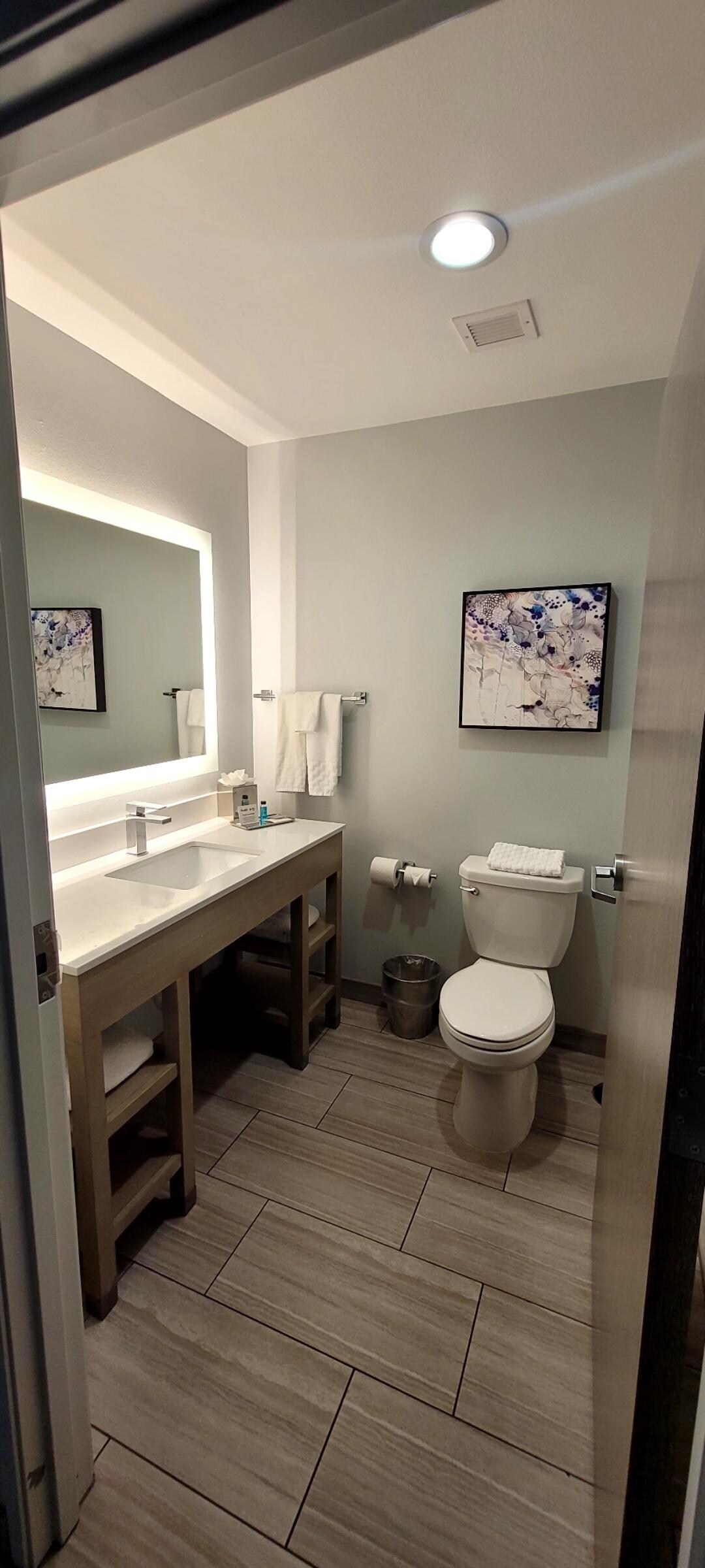 The bathroom