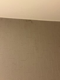 Mold in bathroom
