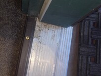 More mouse droppings