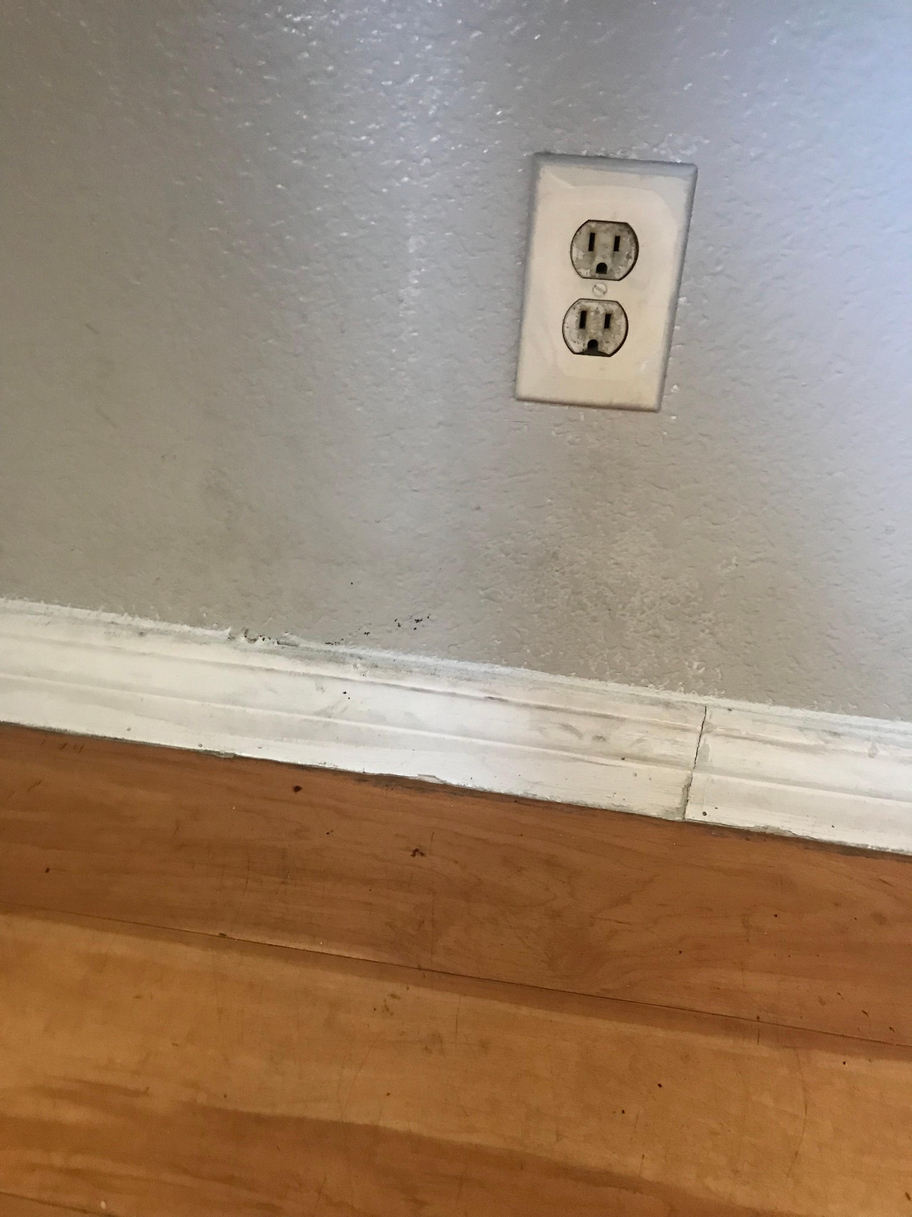 Worst construction work ever