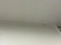 More mold.
