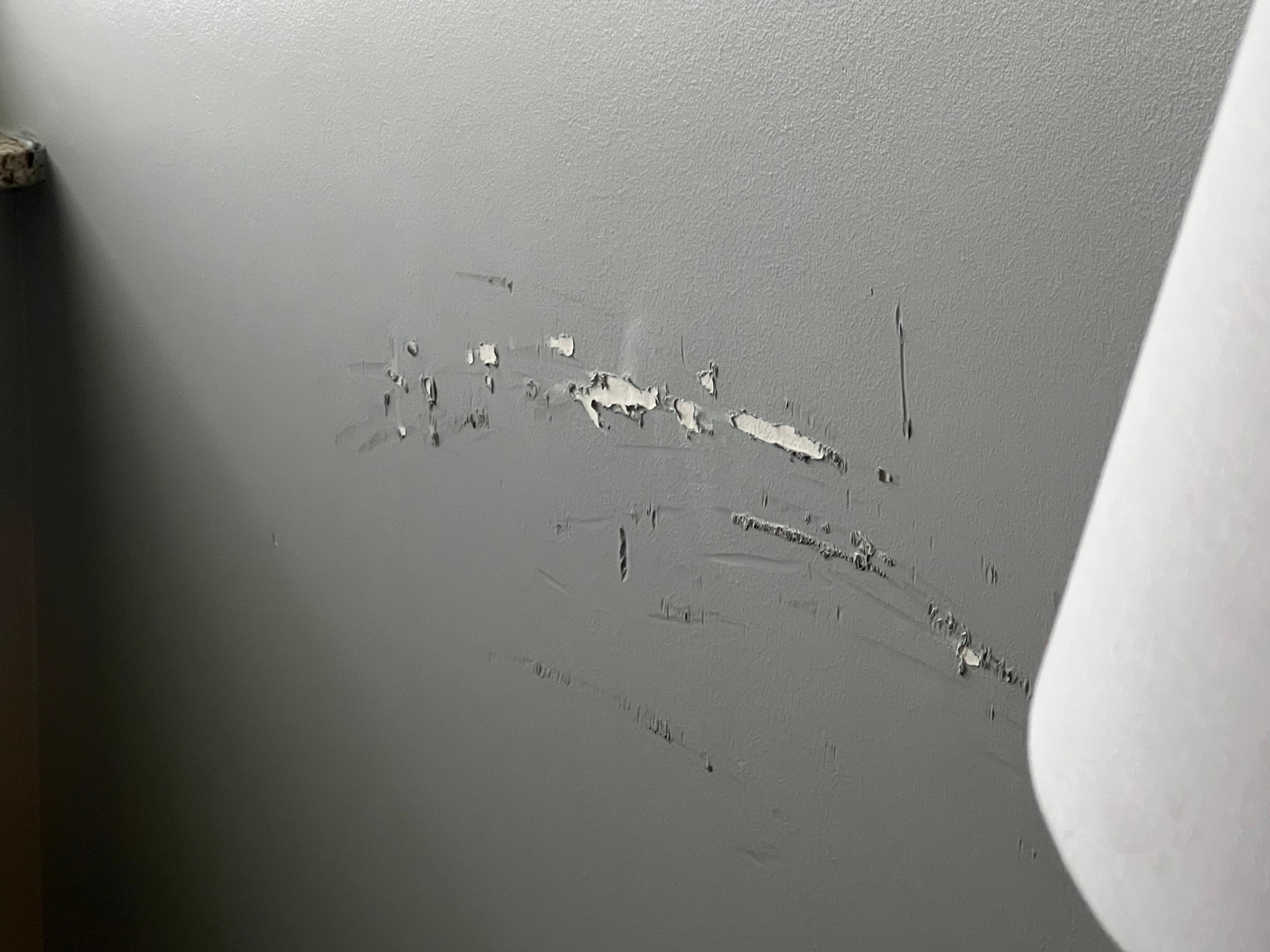 Paint damaged on the walls