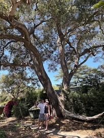 Us sadly leaving the property, under the big oak tree.